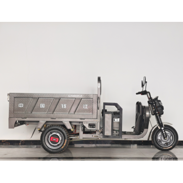 New style Two-light Electric Tricycle