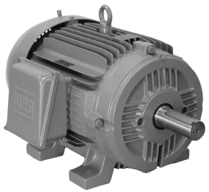 Teco-Westinghouse N0606 Motor