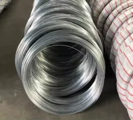 Stainless Steel Wire Mesh