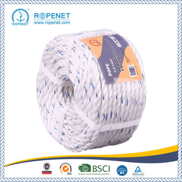 3 Strands Twisted PP Danline Rope with High Strength