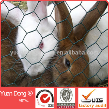 Rabbit Netting/ Hexgonal WIre netting/ Rabbit Fencing