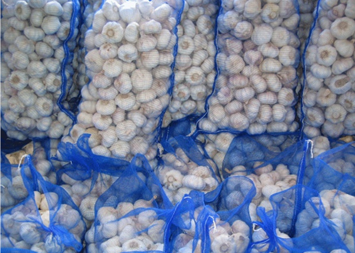 Sacos de alho de malha de monofilamentos pe