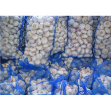 PE Monofilament Mesh Shes