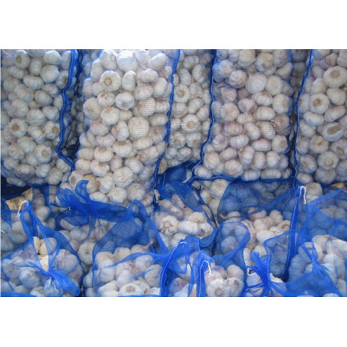 Sacos de alho de malha de monofilamentos pe