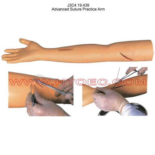 Advanced Suture Practice Arm-J3C4.19.439