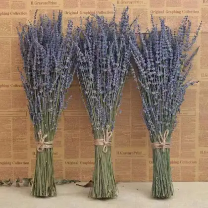 Factory Wholesale: Dried & Fresh Cut Flowers for Wedding & Home Decor