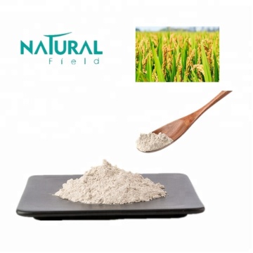 And Non-Gmo Certified Organic White Rice Protein Powder