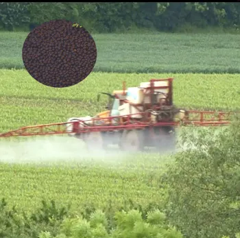 sales all over the world humic fulvic acid granular from high quality leonardite