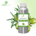 Aceite esencial 100% puro y natural Aceite esencial de alta calidad Aceite esencial al por mayor de Bluk para compradores globales El mejor precio