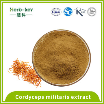 10: 1 Соотношение Cordyceps Militaris Extract