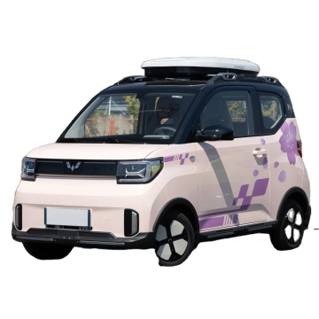 Meilleur prix pour Wuling HongGuang Mini EV et ses accessoires