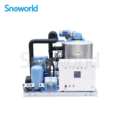 Snow world Flake Ice Machine in Malaysia