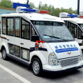 5-seater open electric sightseeing car