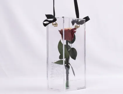 Secret Garden Red Single Rose Acrylic