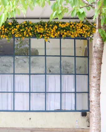 YAYUN J-3285 Hot Selling Artificial Red Berry and Persimmon Branch Decor