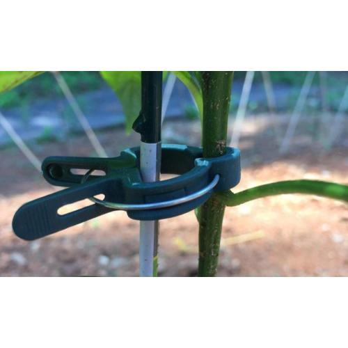 Clip di supporto alle piante per verdure da giardino di vite