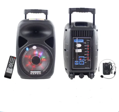 Temeisheng 8 Inch Portable Surround Sound Speaker