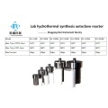 100ml hydrothermal synthesis reactor