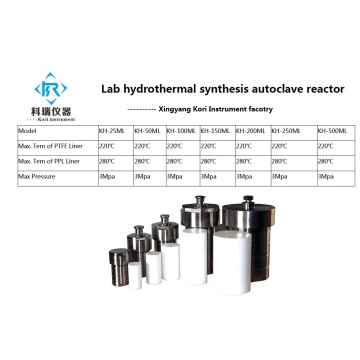 100ml hydrothermal synthesis reactor