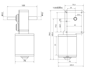 Maintex 12V DC Electric Worm Gear Motor