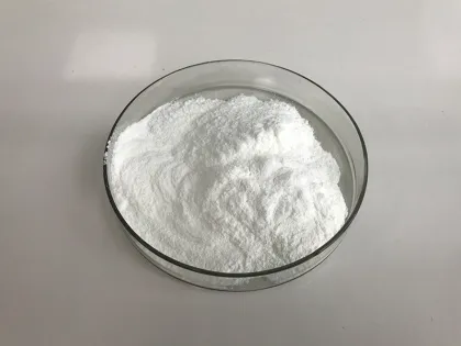 Giga White Powder Skin Whitening