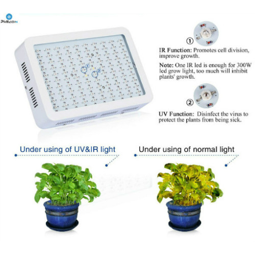 COB LED tumbuh cahaya untuk bunga sayuran benih