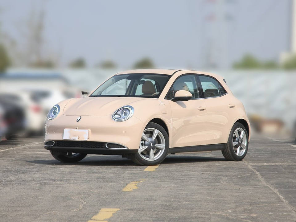 2022 New Car New Energy Vehicle price Hot Selling Chinese Electric Car Euler good cat 401km standard endurance type Electric Car