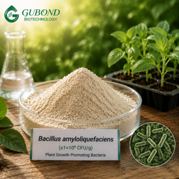 مسحوق Bacillus amyloliquefaciens للزراعة والأسمدة الحيوية والأعلاف