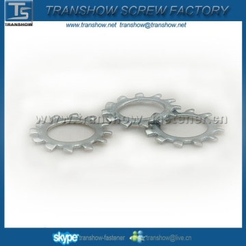 DIN6797 galvanized toothed lock washer