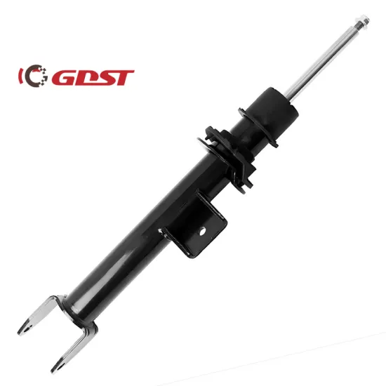 G DST Front RH Shock Absorbers OEM 104436900E 104436900G for Tesla 3 (2017-2021) RWD & Tesla Y (2020-2023) RWD