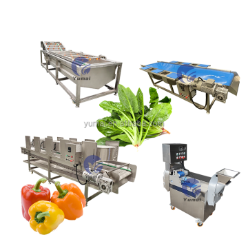 Linea di lavorazione del lavaggio vegetale per cubetti di carota congelati, cipolla primavera, fagiolini e cavolfiore