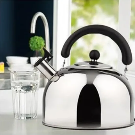 Top stainless steel whistling kettle