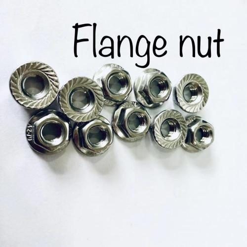 SS304 High pressure flange nut