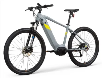 Eu Warehouse Family Electric Bike
