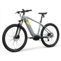 EU Warehouse Family Electric Bike