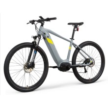 Eu Warehouse Family Electric Bike