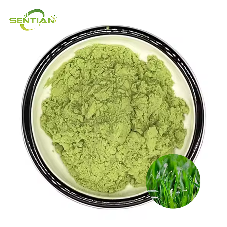 wheat seedling powder