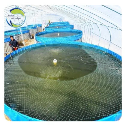RAS Aquaculture Systems for Tilapia, Catfish, and Shrimp