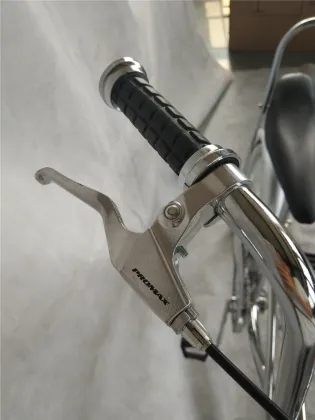 20 Inch Springer Fork Lowrider Bicycle Beach Cruiser