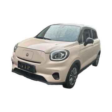 2021 Leapmotor T03 400 Luxury Edition New Energy Mini Used Car