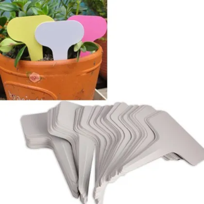 100pcs 6 x10cm Plastic Plant T-type Pot Tags Markers Nursery Trays Garden Stake Labels