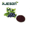 High Quality Blueberry Extract