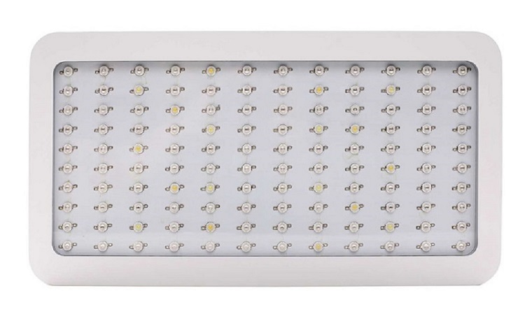 Led Grow Light Bulbs