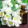 Pure Jasmine Fragrance Essential Oil