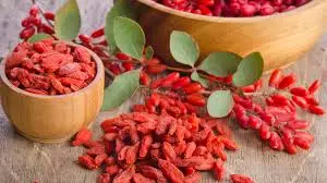Qualifed organic goji berry
