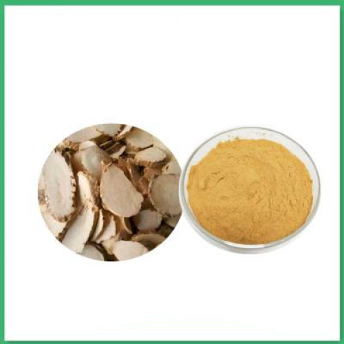 kaempferol extract kaempferol Powder