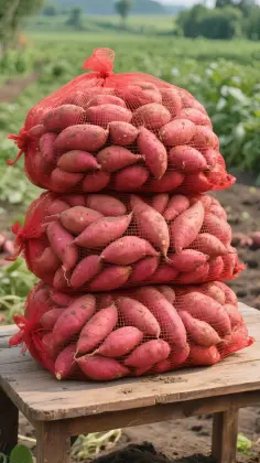 Premium Fresh Yunnan-Grown Honey Sweet Potatoes