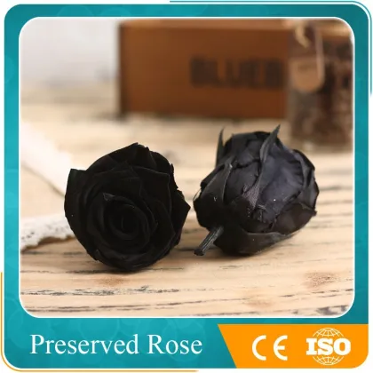 wholesales 4-5cm black preserved stabilized rose