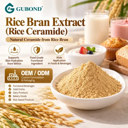 Rice Ceramide 0.5%–2% from Rice Bran Extract