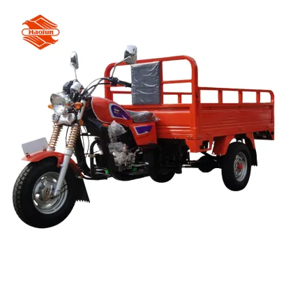 Custom Motorized Tricycles and Other Tricycles
